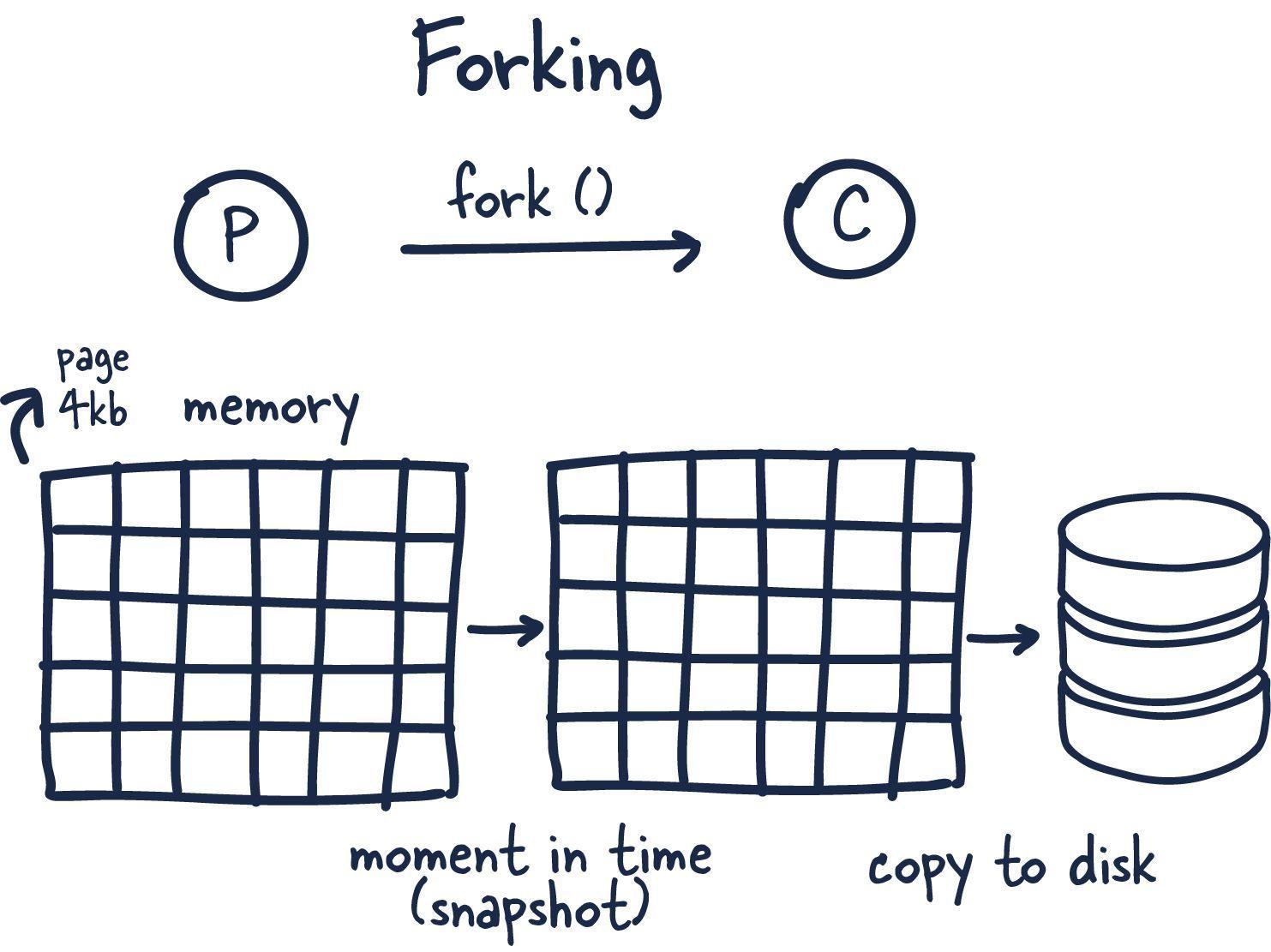 How redis uses forking for point in time snapshots